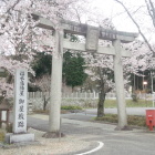 石碑と鳥居と桜。