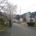 陣屋へと続く大手道。