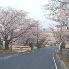 太岡寺畷