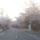 太岡寺畷