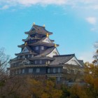 遠くから見た岡山城下