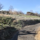 周辺道路登り口より城域を望む