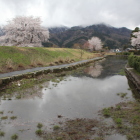 本曲輪土塁と水堀