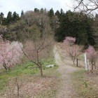 八幡崎登坂