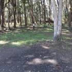 階段を登りⅠ曲輪、御礼神社境内