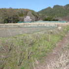 その北竪堀から東に延びる横堀