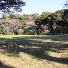 本曲輪、公園内部