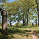本丸跡。御座の間、広間、台所などが建っていた