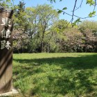 三の丸（東館）跡。周囲を腰曲輪が取り巻く