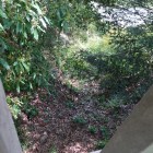 二の門東部の竪堀