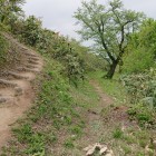 主要部の切り岸は厳しい。