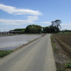 栗橋城手前・田んぼ周辺場所も城域だった