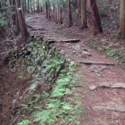 大手道にはこんな土木遺構も。しっかり造られてます。