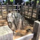元沼田城主の息子沼田平八郎の首実検後、首を乗せた石