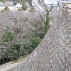 三の丸石垣南側