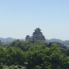 男山から姫山を望む