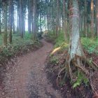 登山口〜中城の道中