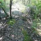 登山口から少し登った所の土橋