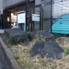 四ツ谷駅前の四谷御門の石垣