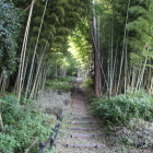 秀次館の大手道