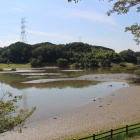 日野川ダムに沈んだ東側の城跡