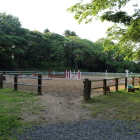 西二の丸跡の馬場