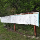 よれよれでも大きな字で読みやすいんです。