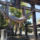新宮熊野神社。