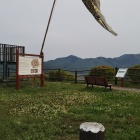 鯉のぼり。