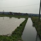 水路北側 東から西へ(車で移動)