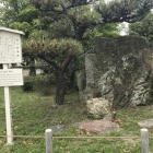 那古野城跡 石碑