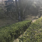 堀跡