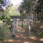 鳥居手前から城域と思われます