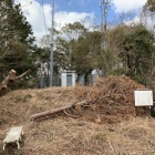 主郭跡（電波設備あり）