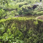 日本庭園。