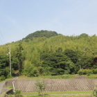 国分山城(唐子山)遠望