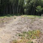 本丸虎口側を望む