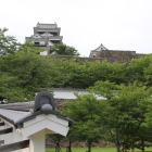 上段二の丸登城路土塀越しに望む