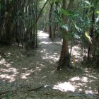登城路Ⅲ