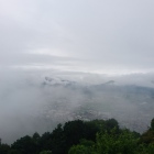 高湿度の風景