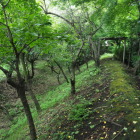 土塁と空堀