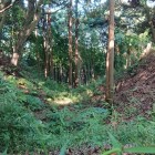 土橋から空堀を見下ろす