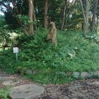 虎口の土塁