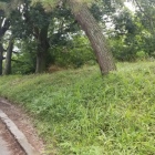 石田堤