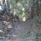 ただの山道なのか堀底道なのかは不明