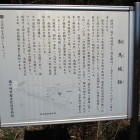 解説版