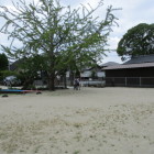 エリア全体は野球もできないくらいの広さ