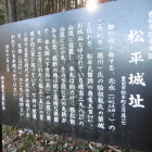 解説