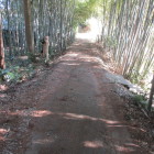 どう見ても土橋。。。これは確信