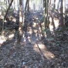 虎口にも見えるが・・・不明